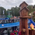 Jim & Jasper's Wild Wasser