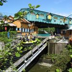 Adventure Cove River Rapids