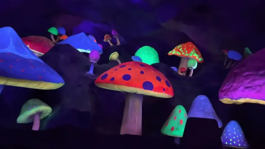 Video of this ride